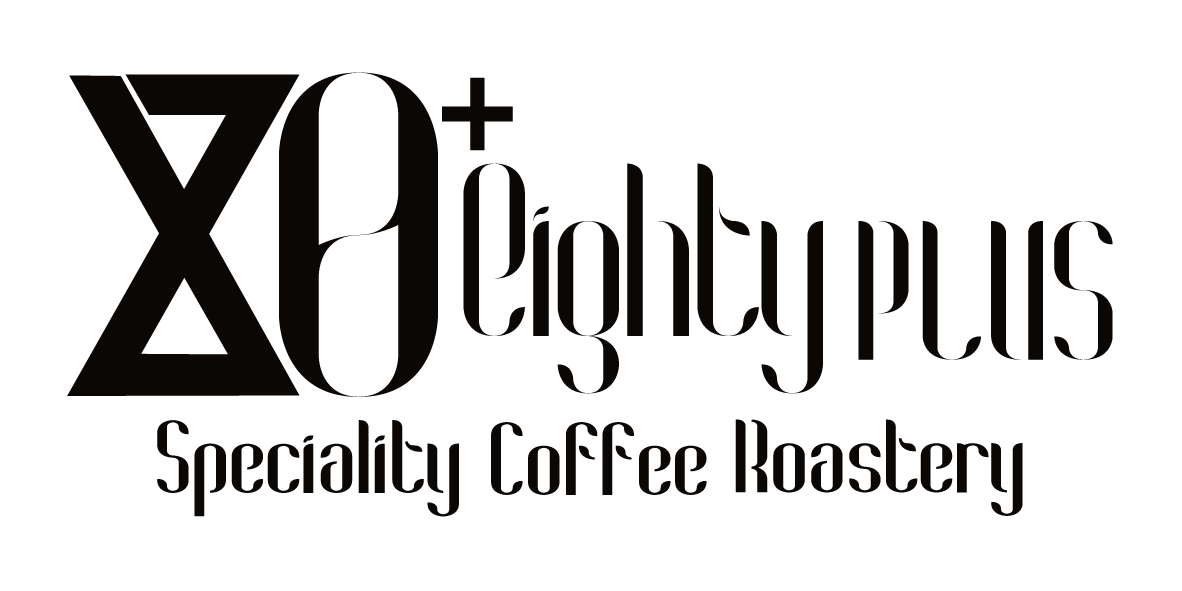 Logo 80 plus-01